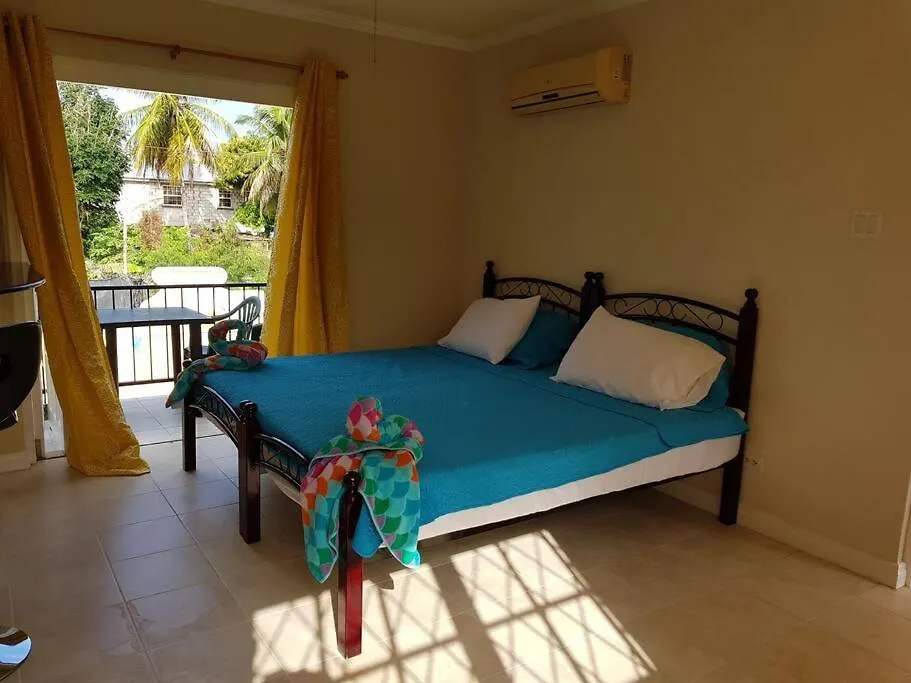 Studio Apt 9 Bright Comfy With Pool On South Coast Bridgetown 0*,  Barbados