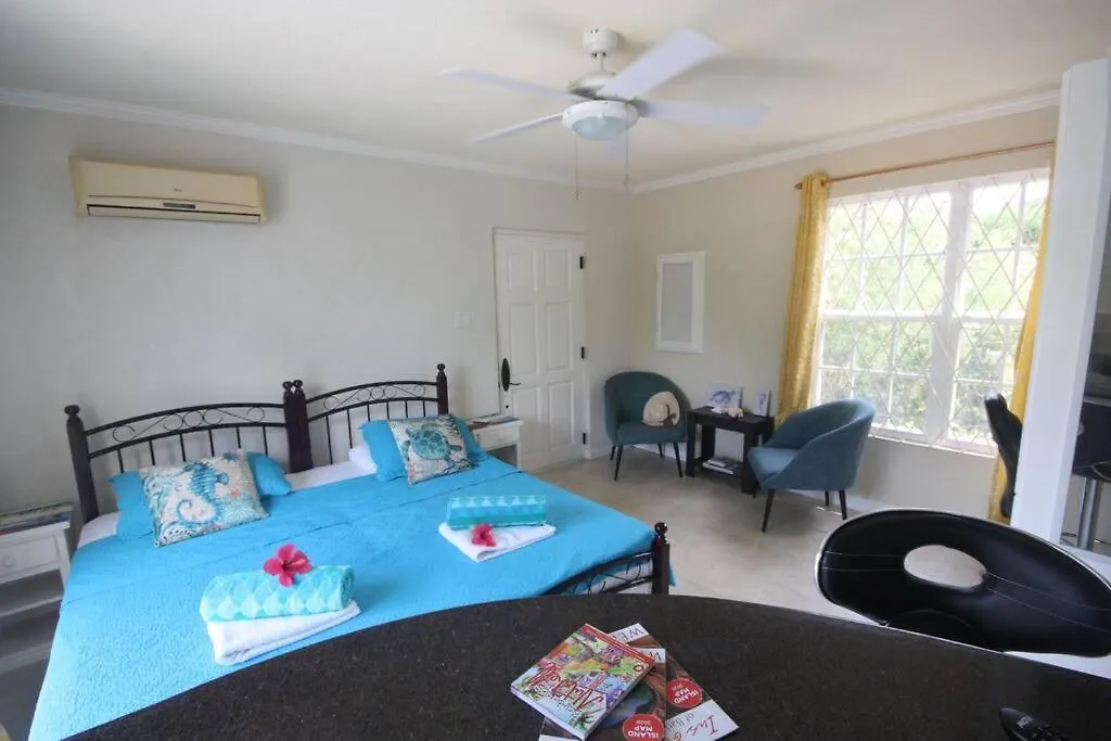 Studio Apt 9 Bright Comfy With Pool On South Coast contacts
