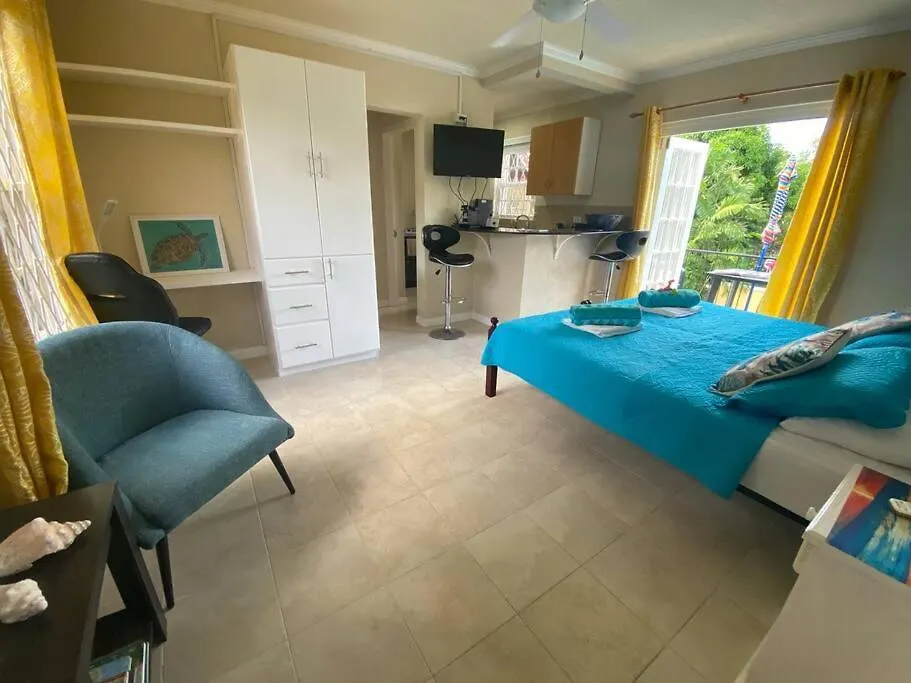 Studio Apt 9 Bright Comfy With Pool On South Coast Μπριτζτάουν 0*,  Μπαρμπάντος